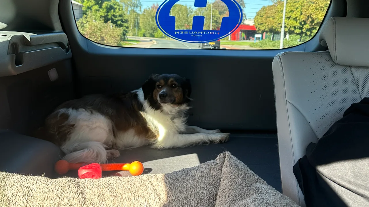 Mascotte is mee